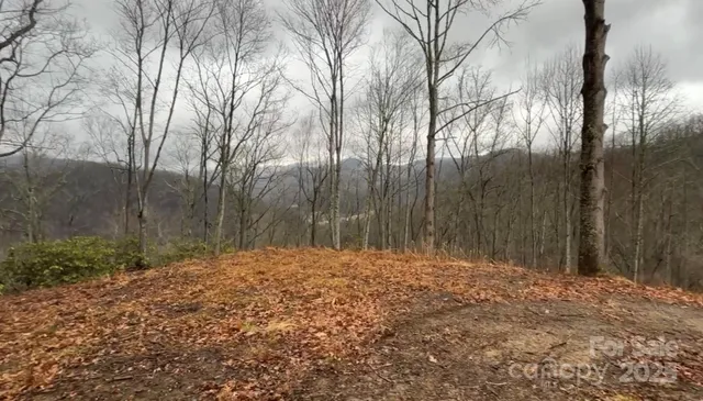 $395,000 | 0 Wayward Cove, Clyde, NC 28721