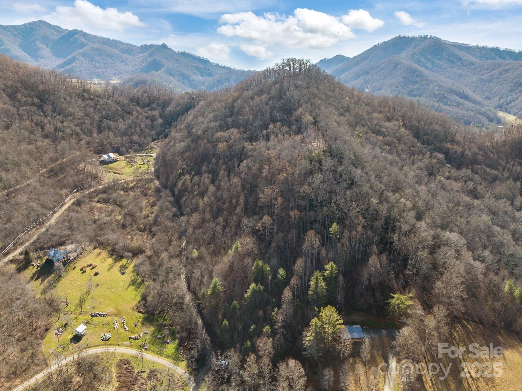 0 Wayward Cove Clyde, NC 28721 - Photo 3 of 18 a view of a tree