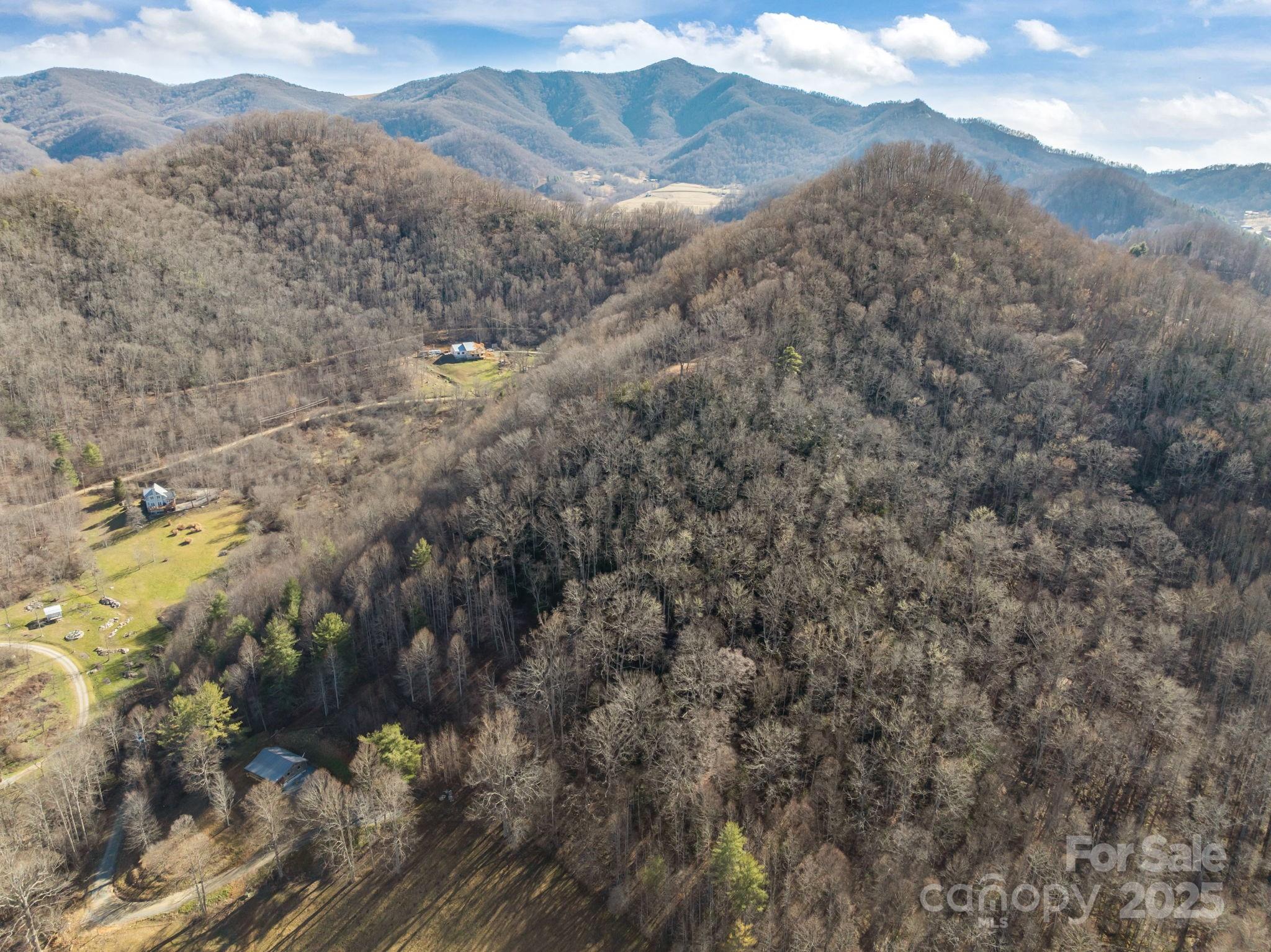 0 Wayward Cove Clyde, NC 28721 - Photo 4 of 18