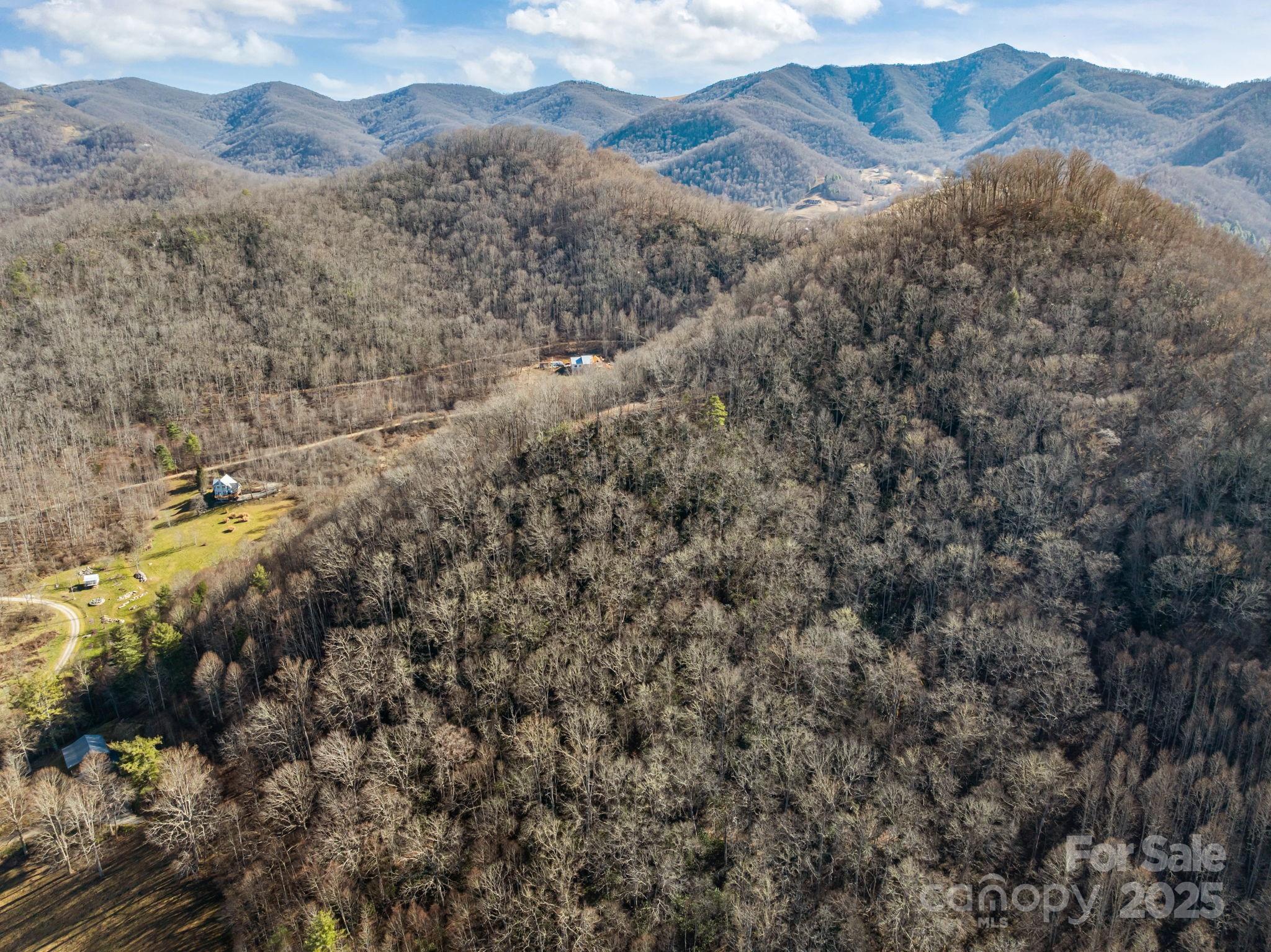 0 Wayward Cove Clyde, NC 28721 - Photo 5 of 18 a view of a dry yard with green space