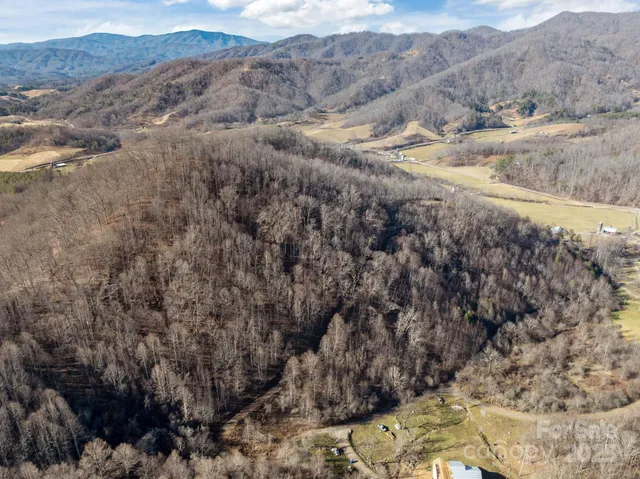 a view of a dry yard with green space