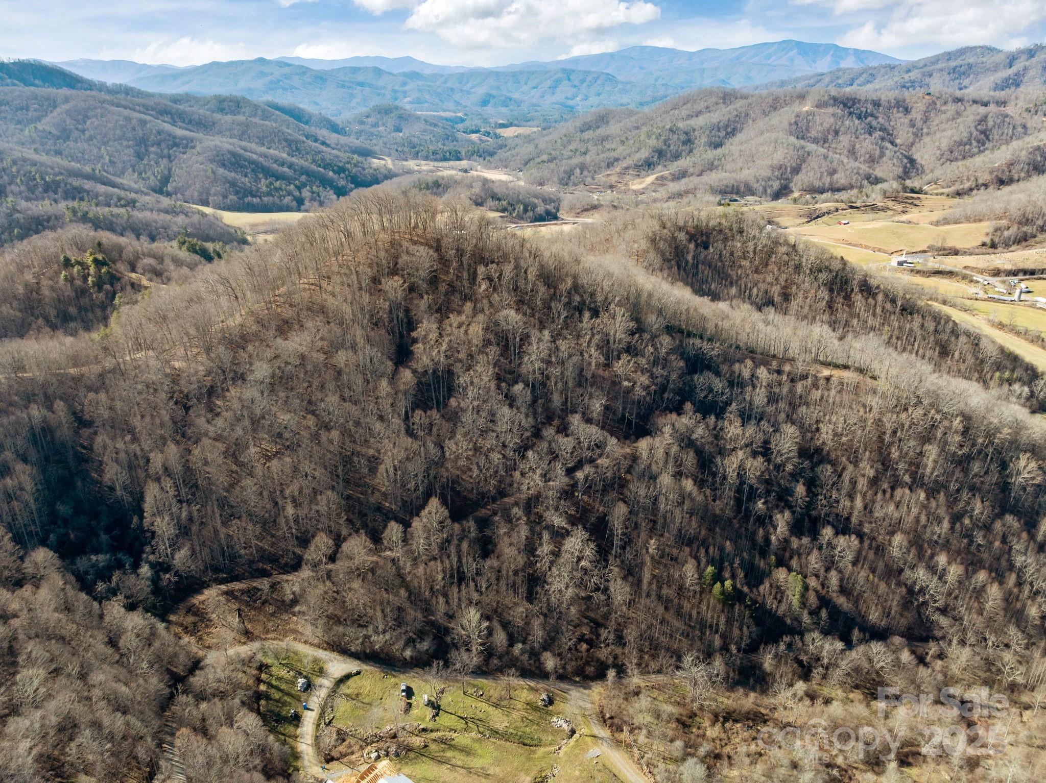 0 Wayward Cove Clyde, NC 28721 - Photo 7 of 18 a view of a forest with mountains in the background