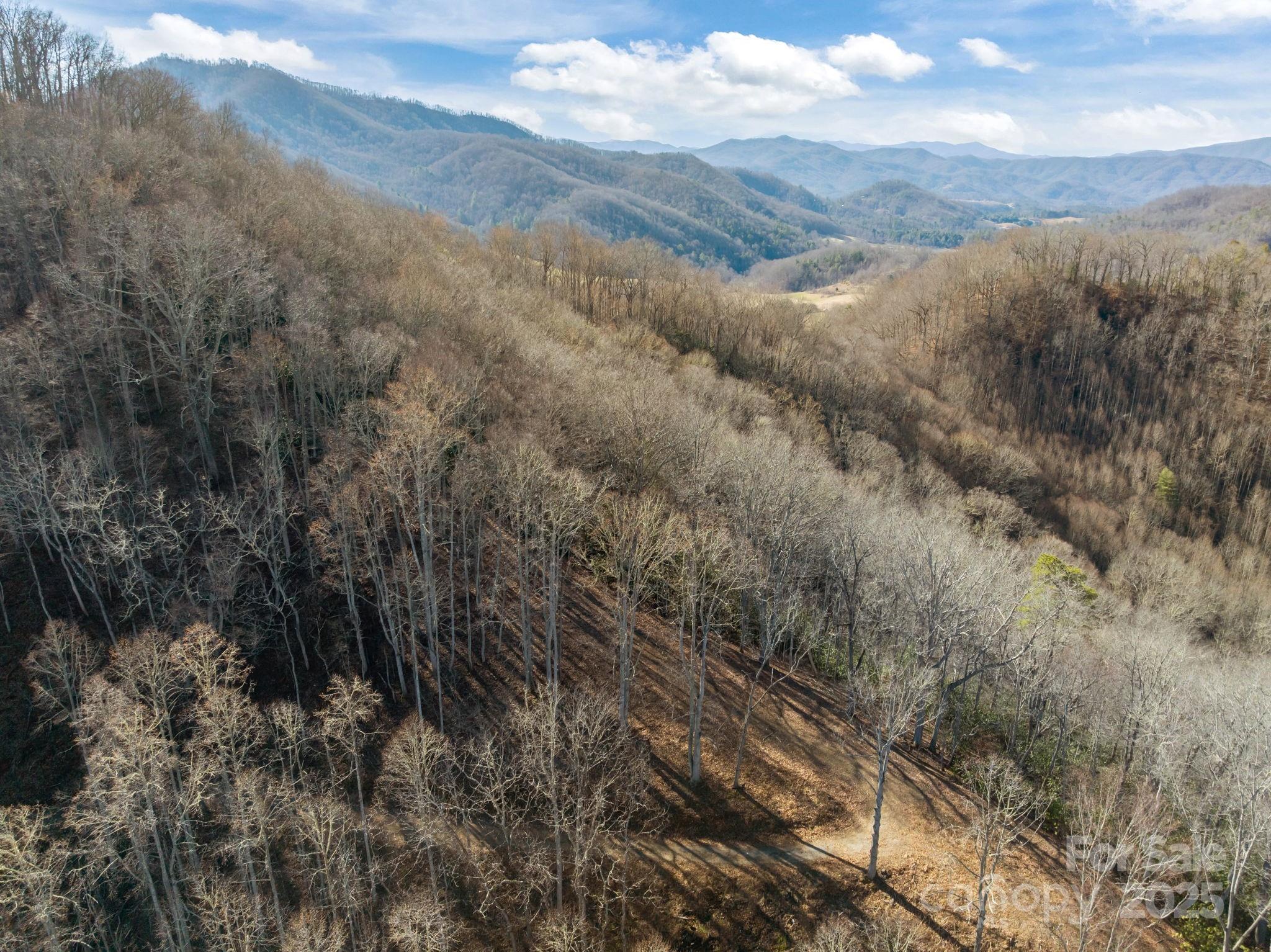 0 Wayward Cove Clyde, NC 28721 - Photo 8 of 18 a view of a dry yard with green space