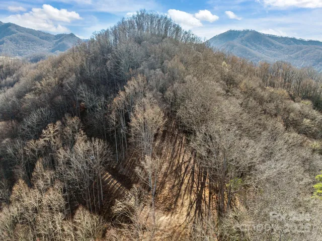 a view of a yard with an umbrella