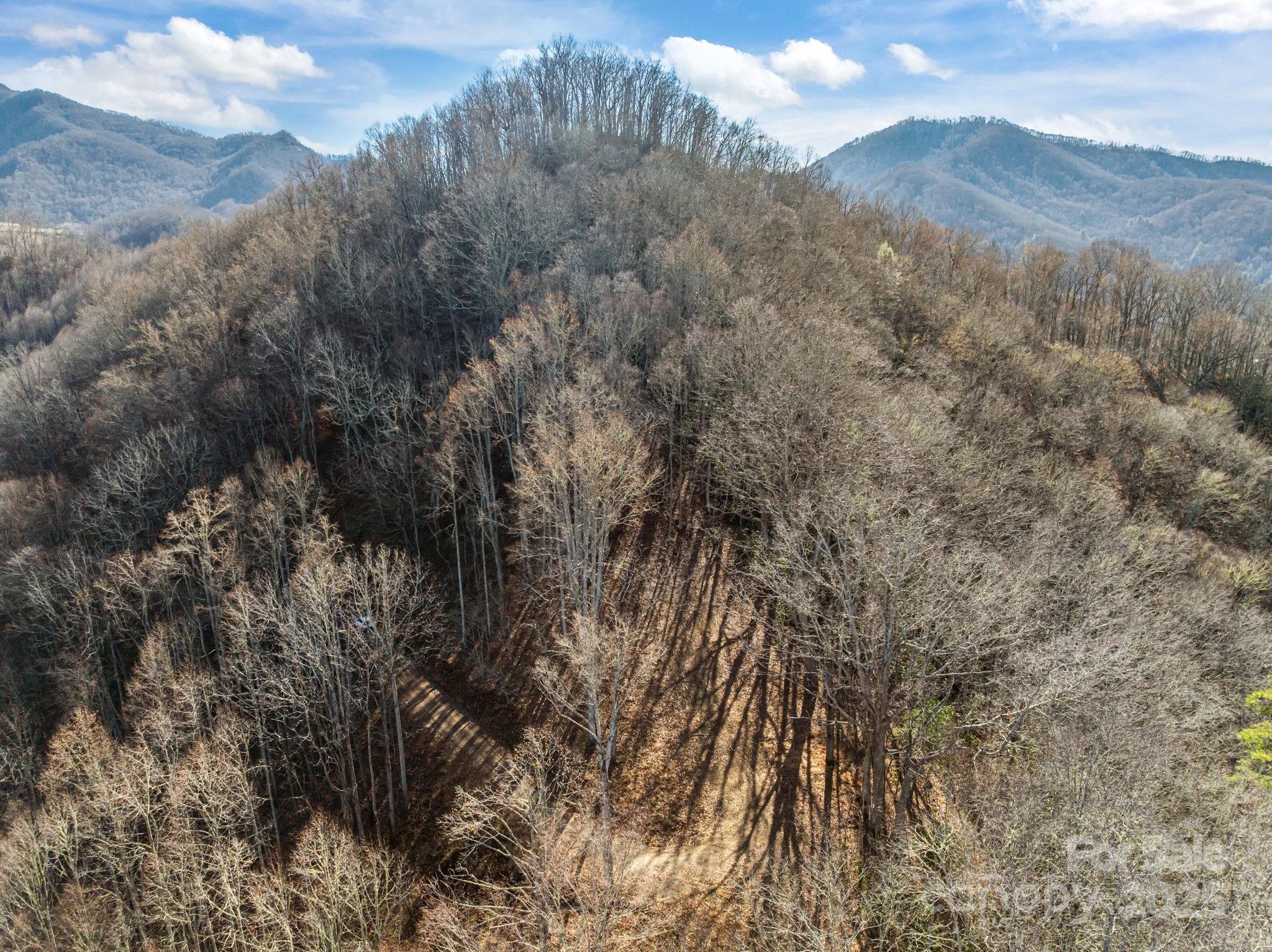 0 Wayward Cove Clyde, NC 28721 - Photo 9 of 18 a view of a tree in a field