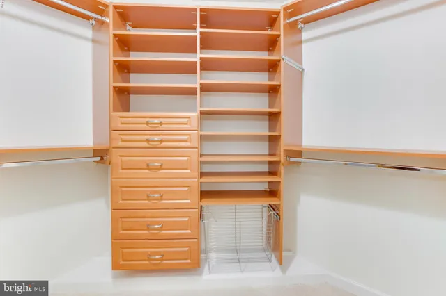 a view of walk in closet with empty racks