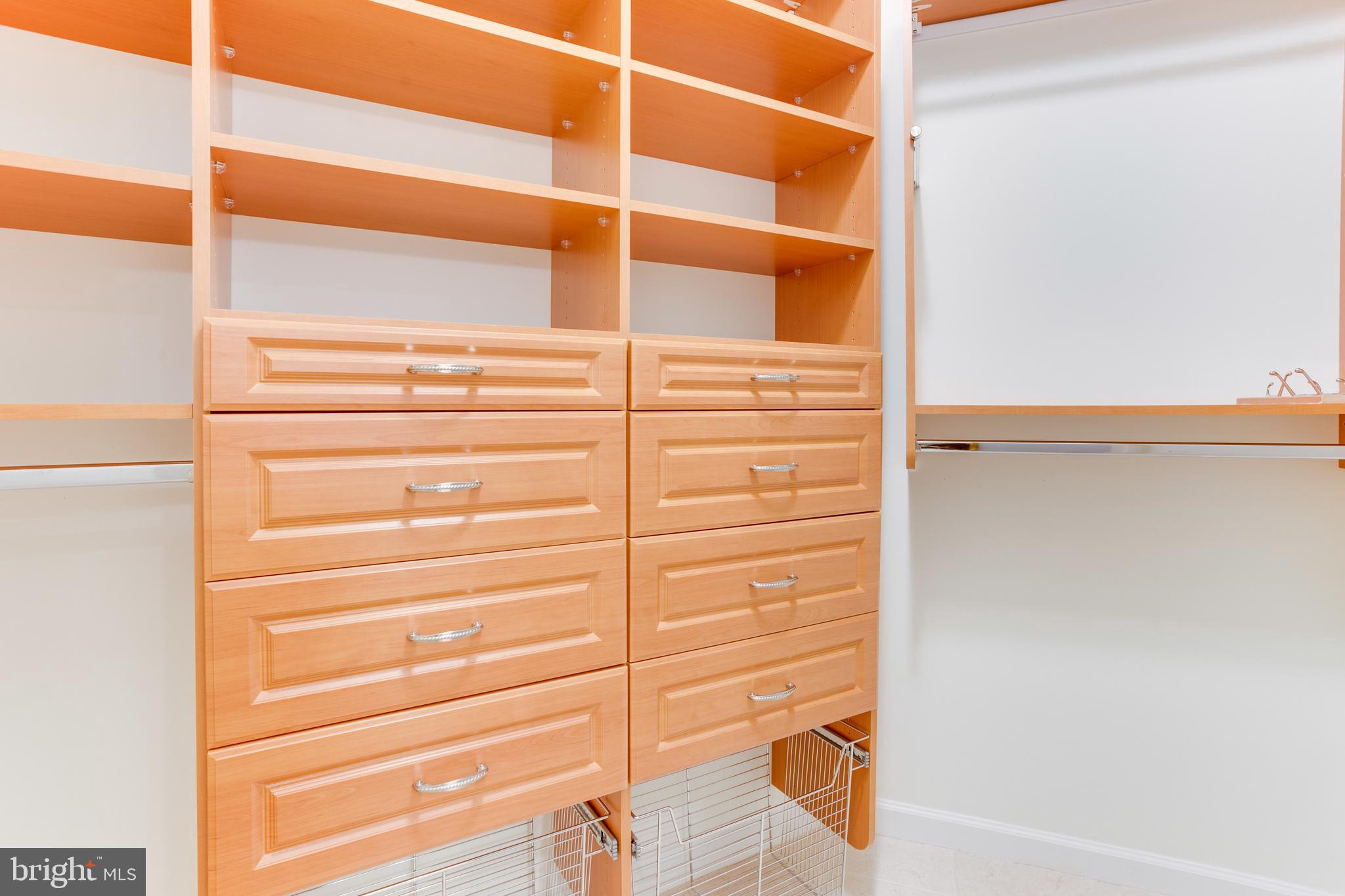 18353 Fairway Oaks Square Leesburg, VA 20176 - Photo 40 of 50 a view of walk in closet with empty racks