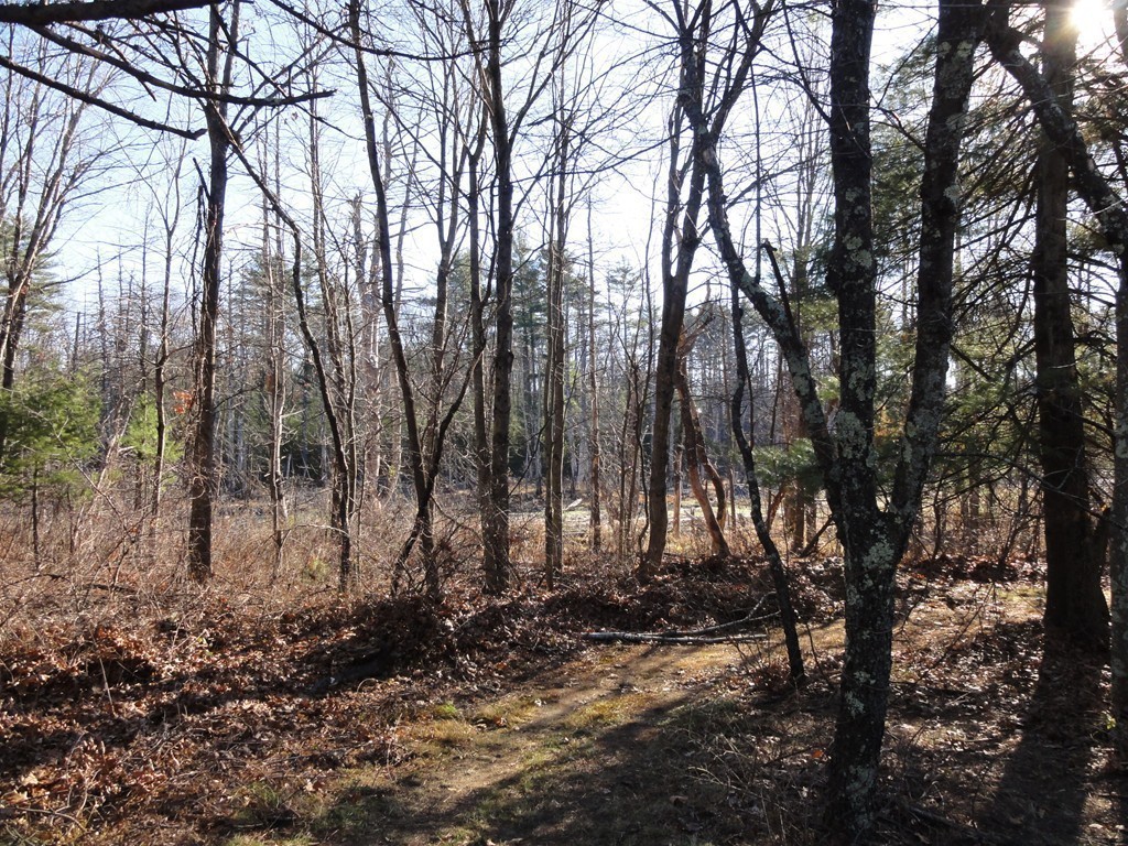 606 Old Dunstable Road Groton, MA 01450 - Photo 25 of 27 Gallery Image 25