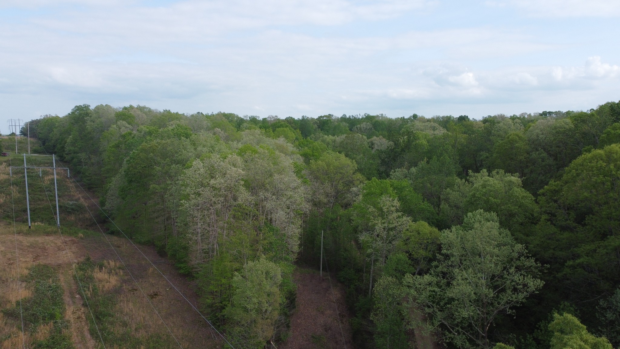 455 Moss Spring Hollow Road Centerville, TN 37033 - Photo 12 of 13 a view of a city with lush green forest