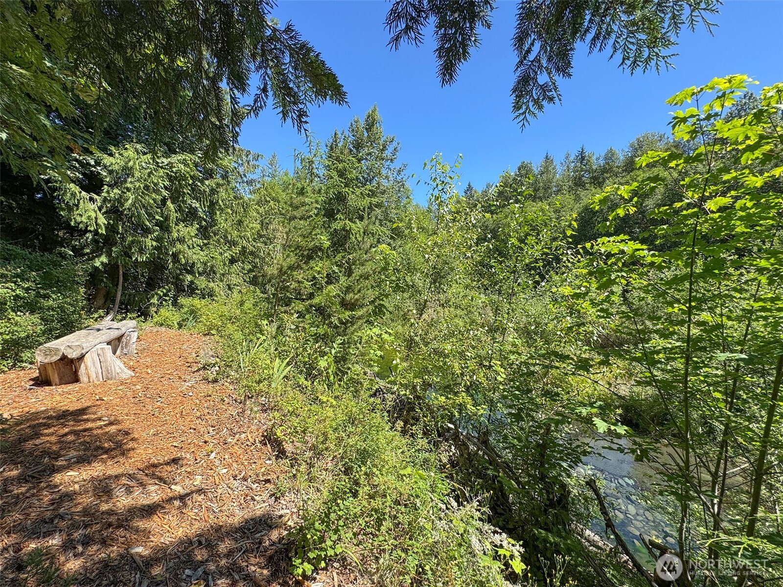 77 Rd Less Traveled Way Sequim, WA 98382 - Photo 15 of 40 a view of a dry yard with large trees