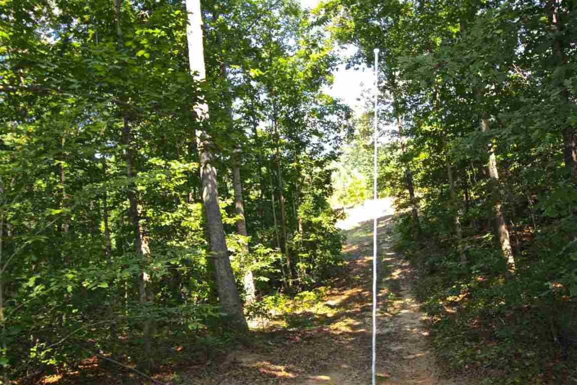 West Freeman Road Westminster, SC 29693 - Photo 23 of 33 Gallery Image 23