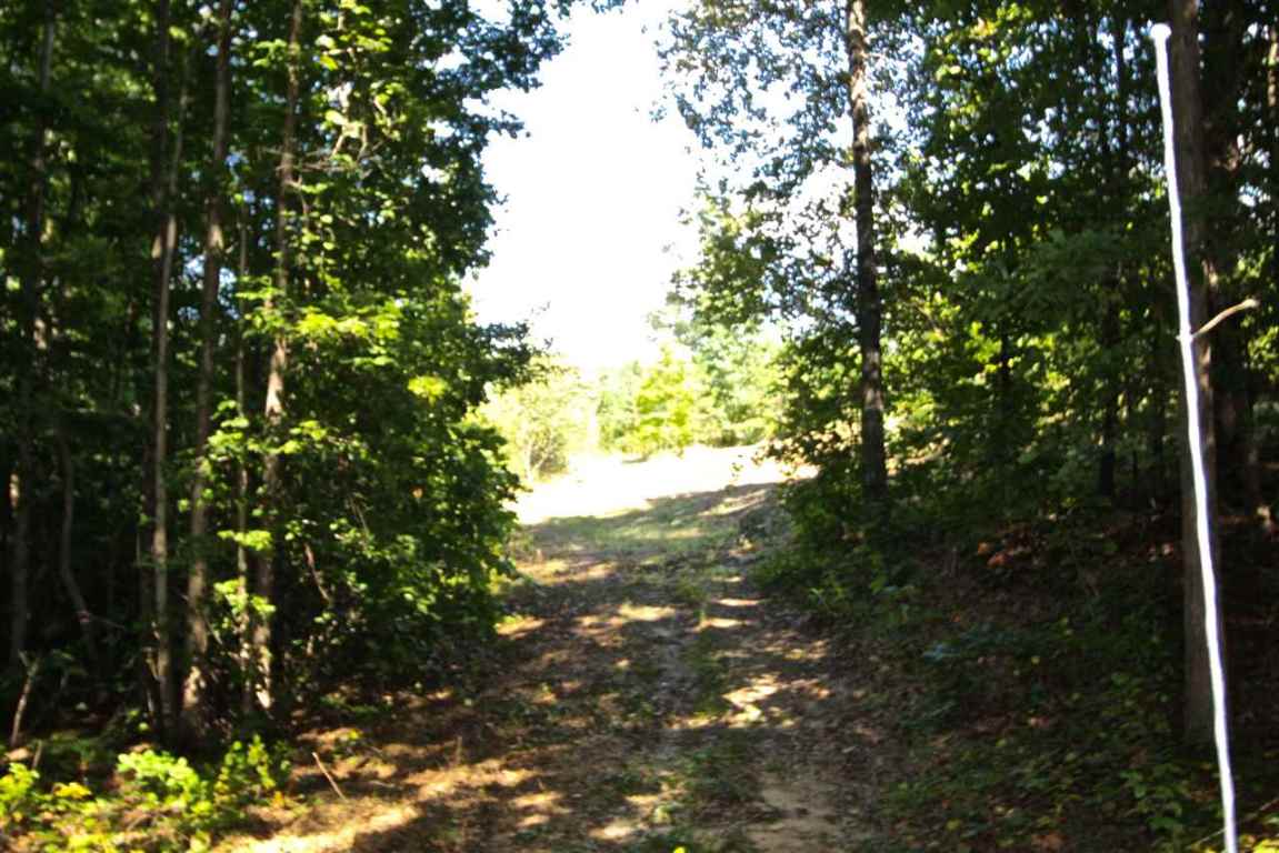 West Freeman Road Westminster, SC 29693 - Photo 24 of 33 Gallery Image 24