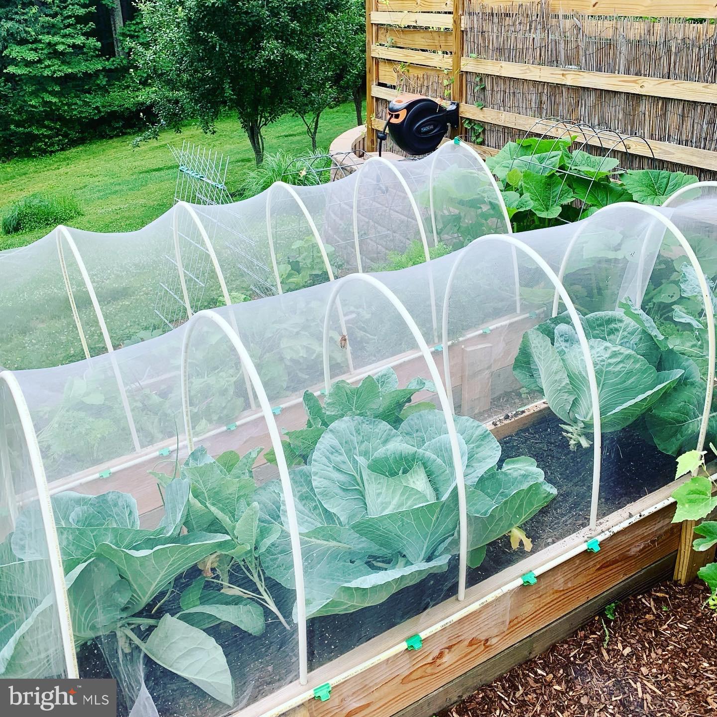 4737 Teen Barnes Road Frederick, MD 21703 - Photo 47 of 61