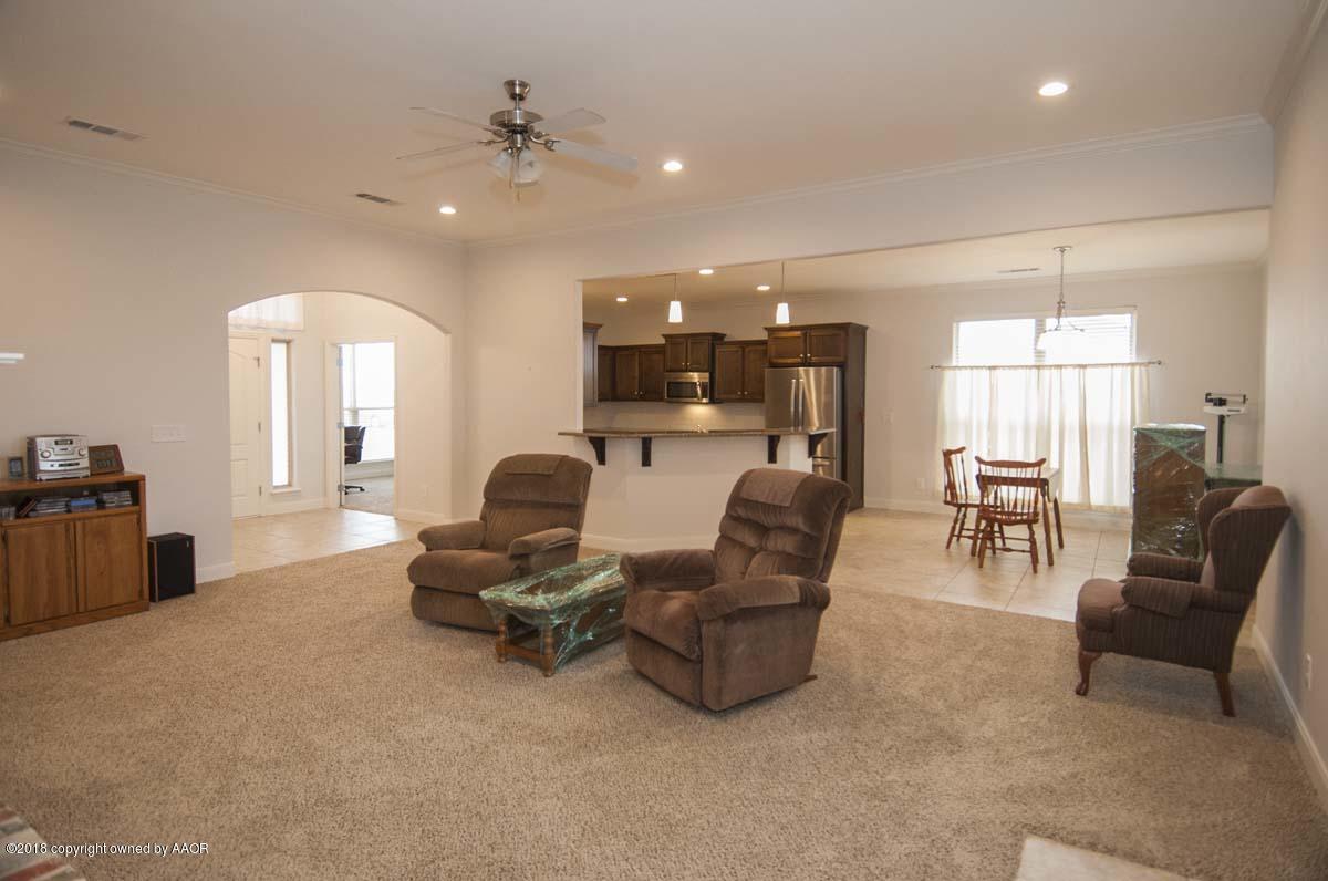 15043 Dowell Road Amarillo, TX 79119 - Photo 5 of 34 LIVING VIEW 3