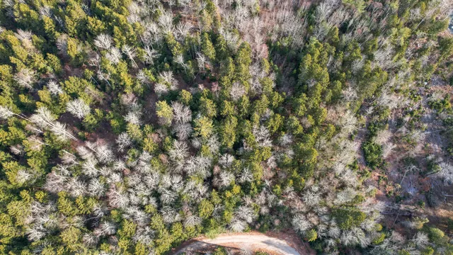 $37,500 | 142 Sandy Acres Drive, Sullivan, ME 04664