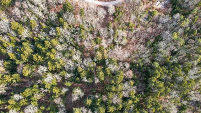 $37,500 | 142 Sandy Acres Drive, Sullivan, ME 04664