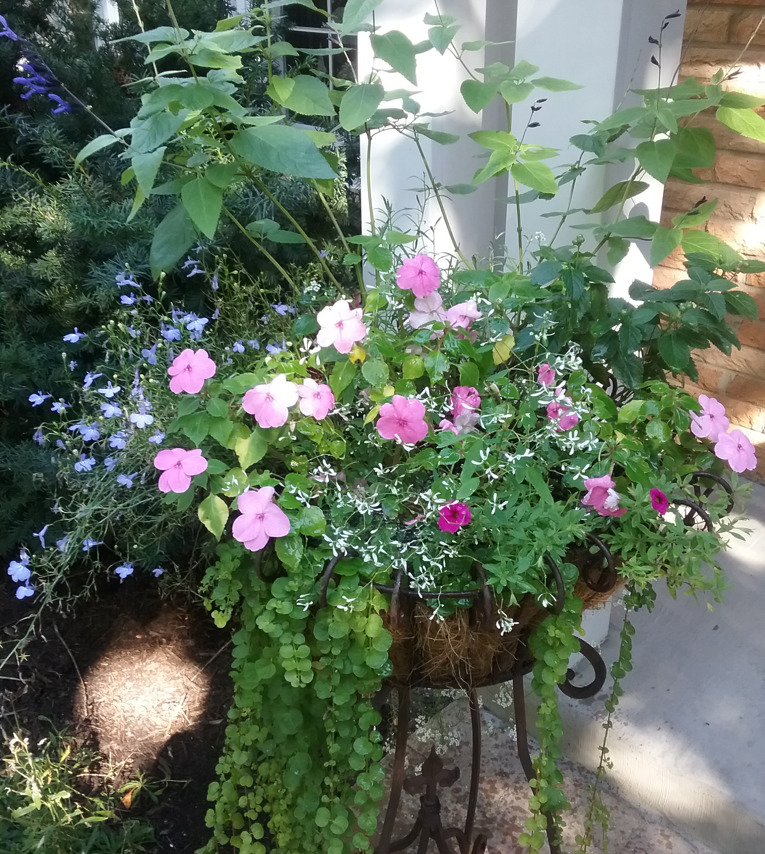 245 Cold Spring Road Barrington, IL 60010 - Photo 43 of 50