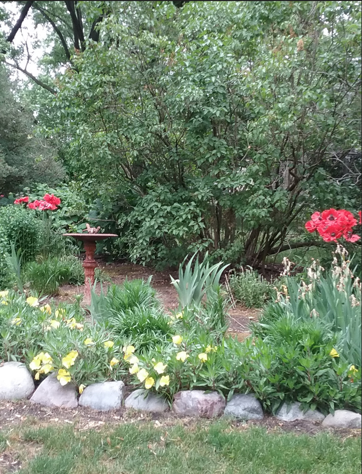 245 Cold Spring Road Barrington, IL 60010 - Photo 46 of 50