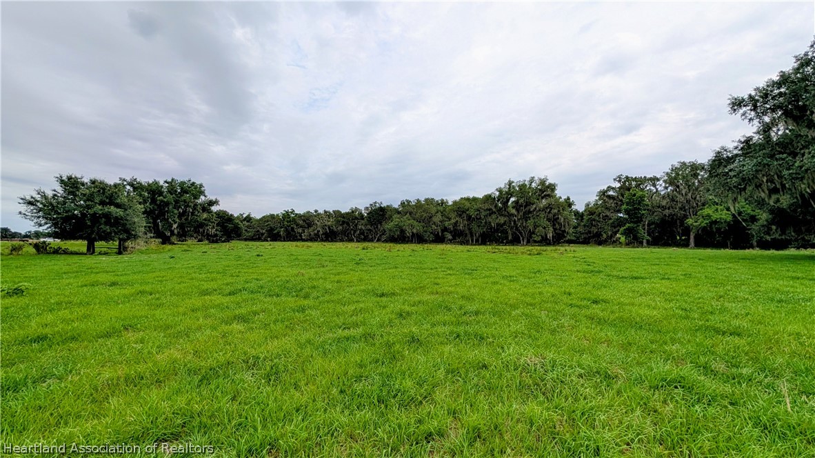 Popash Road Wauchula, FL 33873 - Photo 28 of 29 a view of field with trees in the background