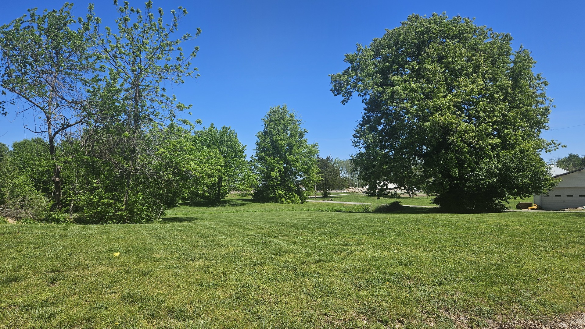 0 West Main Street Buckner, IL 62819 - Photo 1 of 12 a view of a trees with a big yard