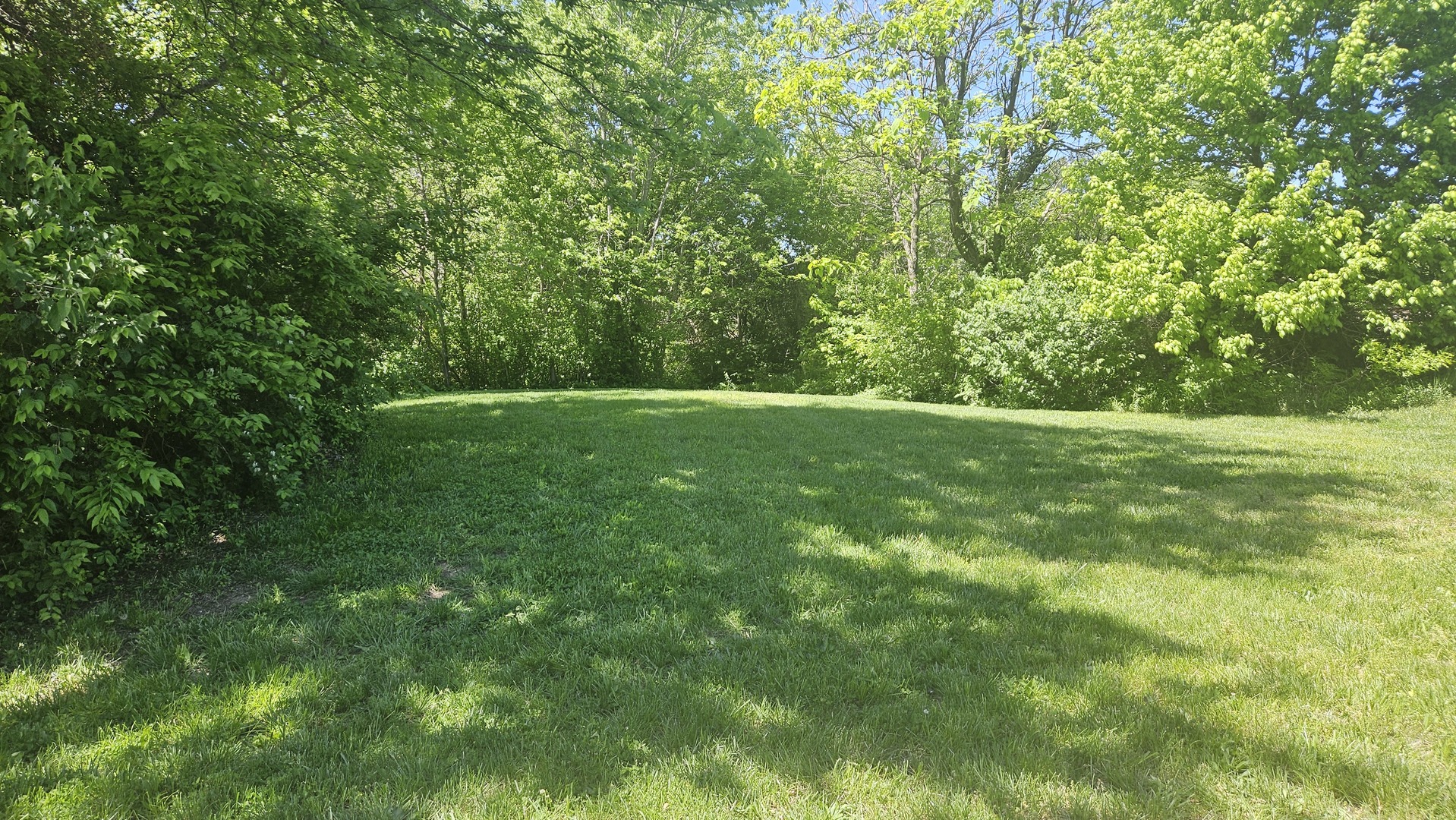 0 West Main Street Buckner, IL 62819 - Photo 2 of 12 a view of outdoor space with trees all around