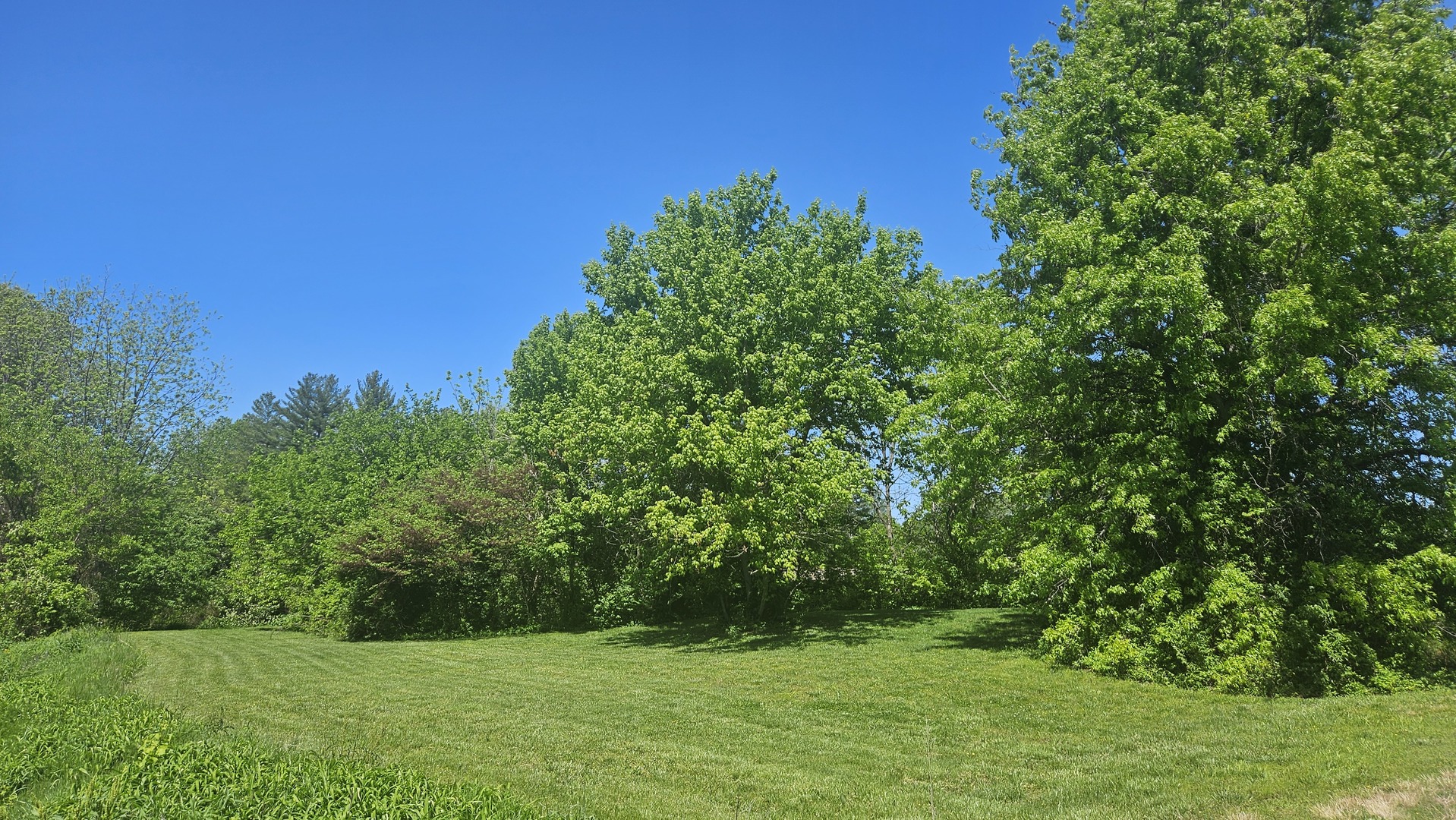 0 West Main Street Buckner, IL 62819 - Photo 4 of 12 a view of a grassy field with trees