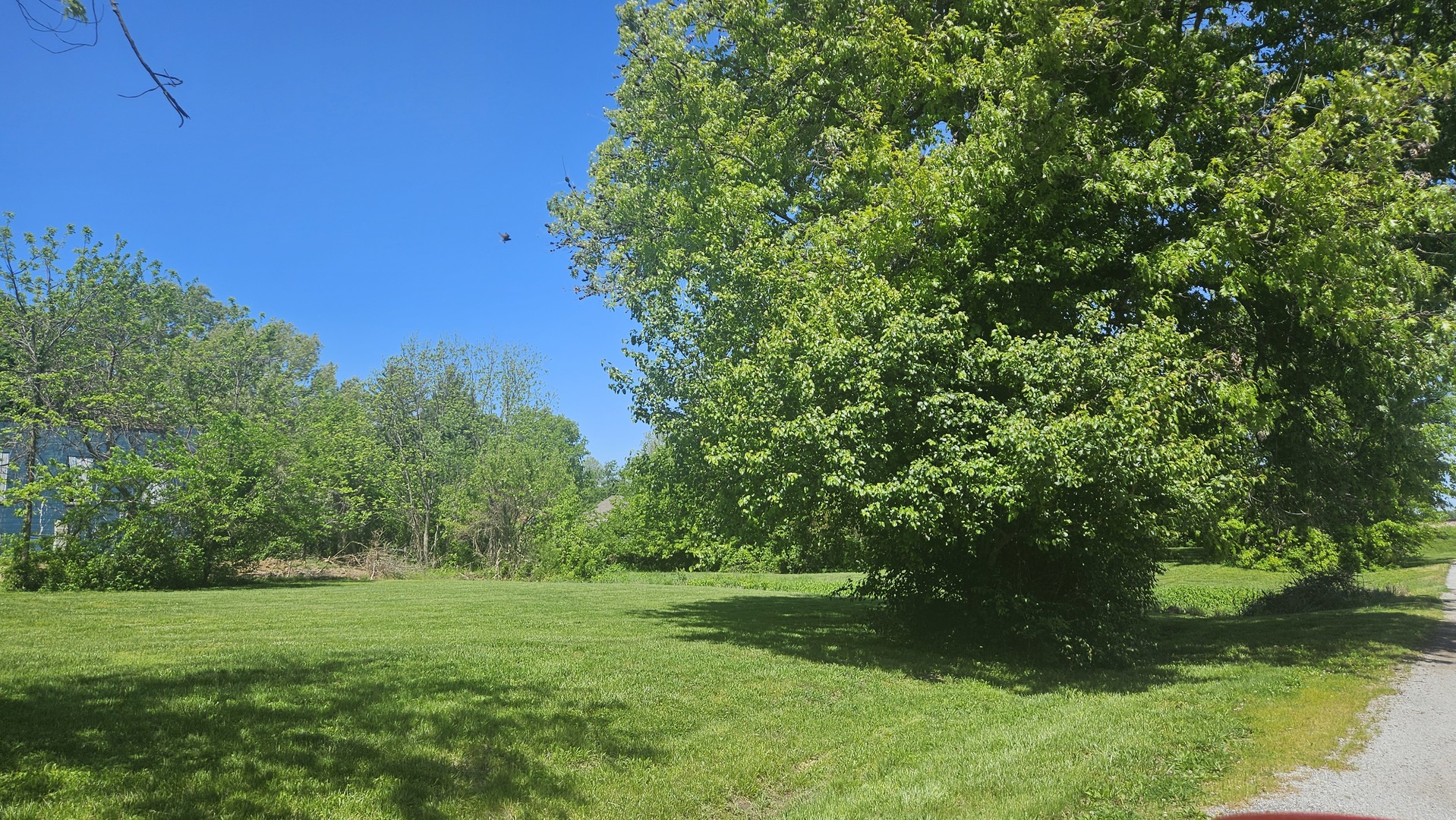 0 West Main Street Buckner, IL 62819 - Photo 5 of 12 a view of a lush green space