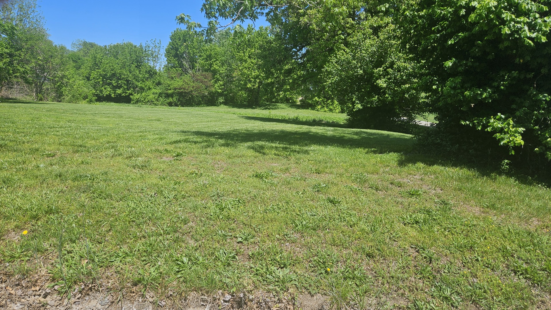 0 West Main Street Buckner, IL 62819 - Photo 6 of 12 a view of outdoor space and yard