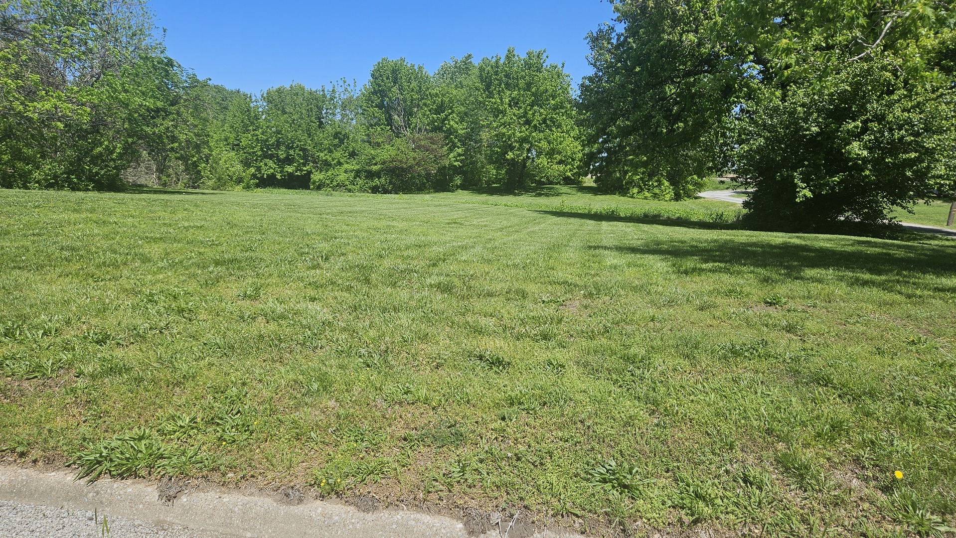 0 West Main Street Buckner, IL 62819 - Photo 7 of 12 a view of outdoor space with trees all around