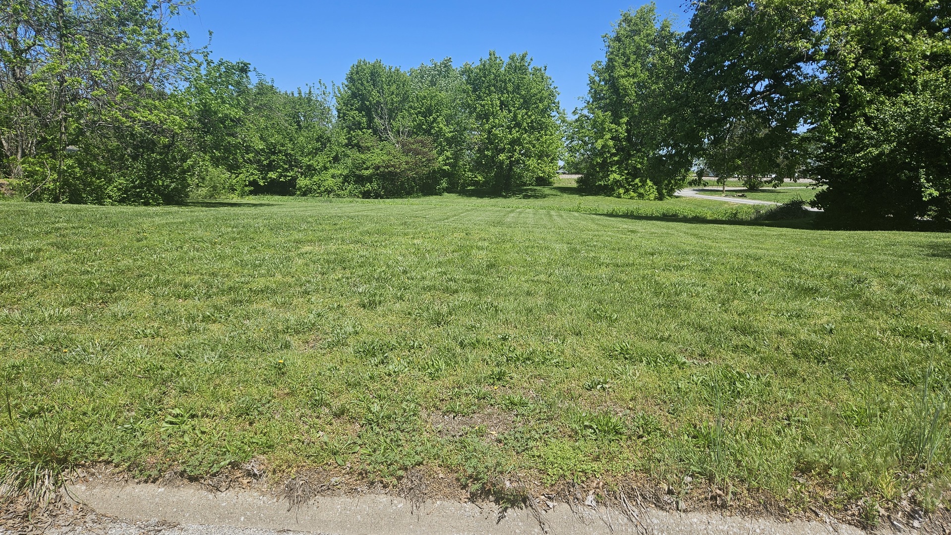 0 West Main Street Buckner, IL 62819 - Photo 8 of 12 a view of a grassy field with trees