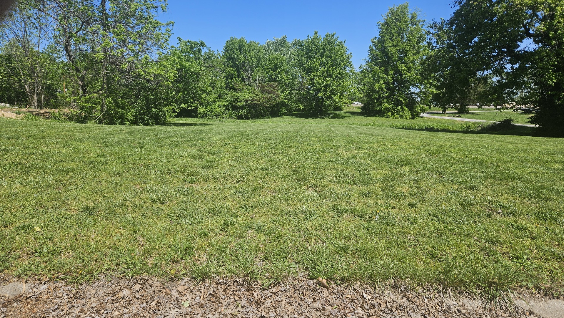 0 West Main Street Buckner, IL 62819 - Photo 9 of 12 a view of a grassy field with trees in the background