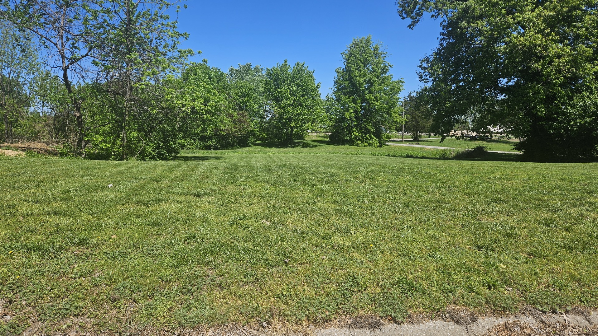 0 West Main Street Buckner, IL 62819 - Photo 10 of 12 a view of a field with trees in the background