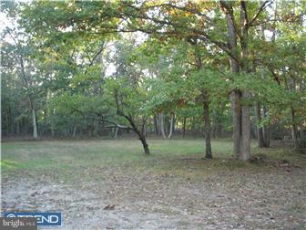 2329 North Firelane Road Southampton, NJ 08088 - Photo 3 of 5