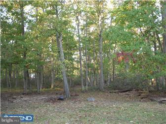 2329 North Firelane Road Southampton, NJ 08088 - Photo 4 of 5
