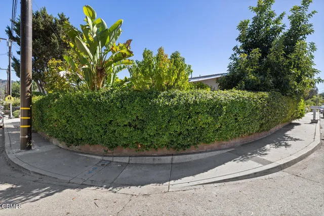 a view of a garden with a flower in a garden