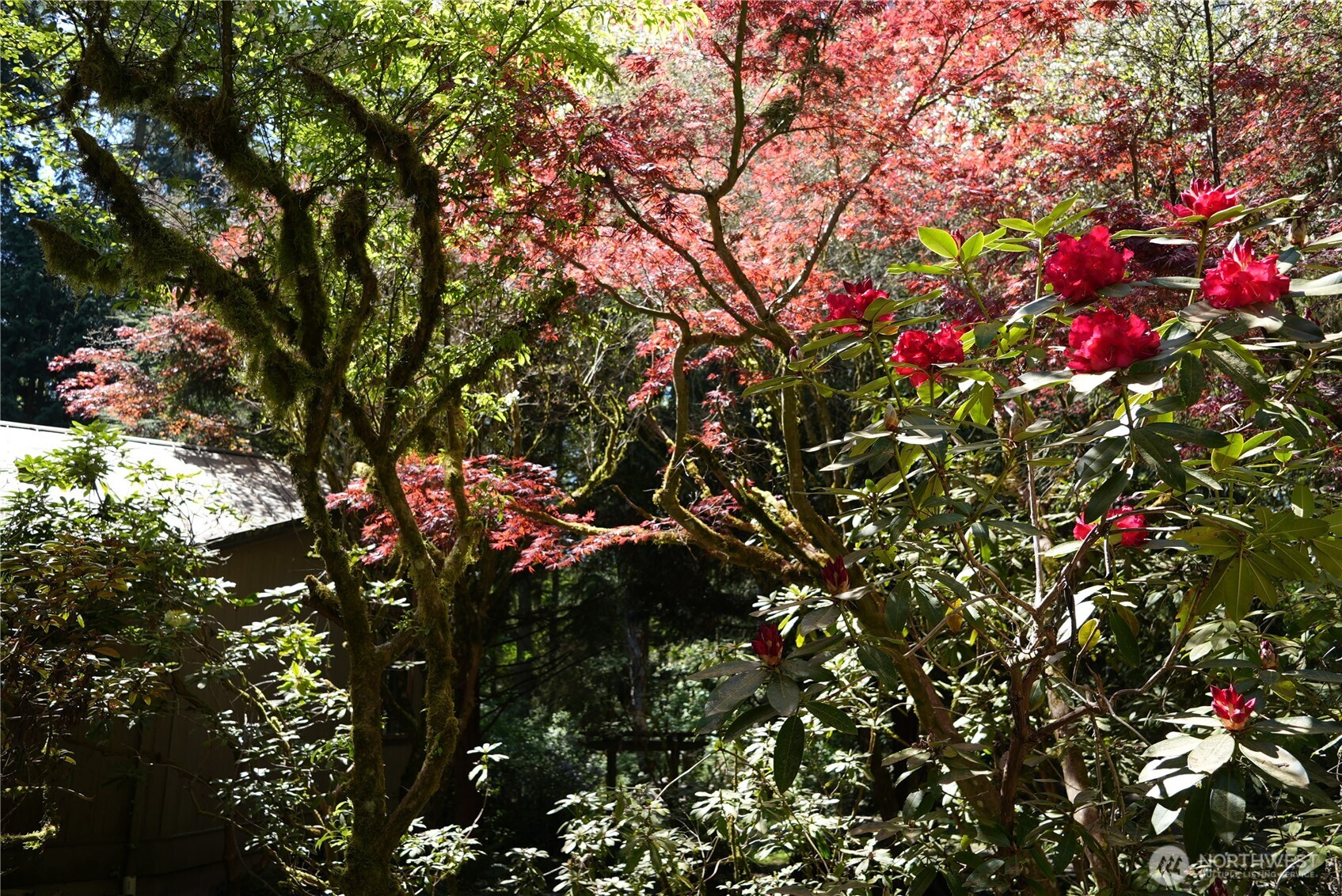 4050 Tree Frog Lane Langley, WA 98260 - Photo 9 of 25