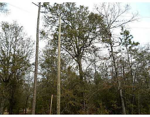 Timber Ridge Lucedale, MS 39452 - Photo 3 of 6 Additional Photo