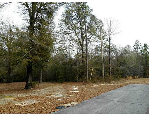 Timber Ridge Lucedale, MS 39452 - Photo 6 of 6 Additional Photo