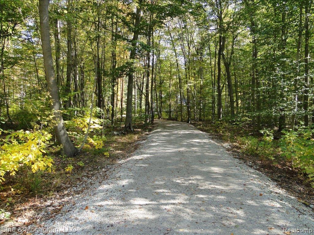 8299 Morrow Road Algonac, MI 48001 - Photo 2 of 20 1a wooded drive to frt