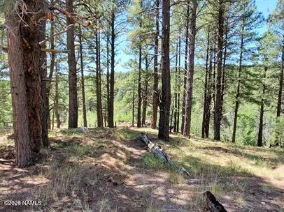 $1,550 | 2678 Mesa Trail, Unit 4, Flagstaff, AZ 86005