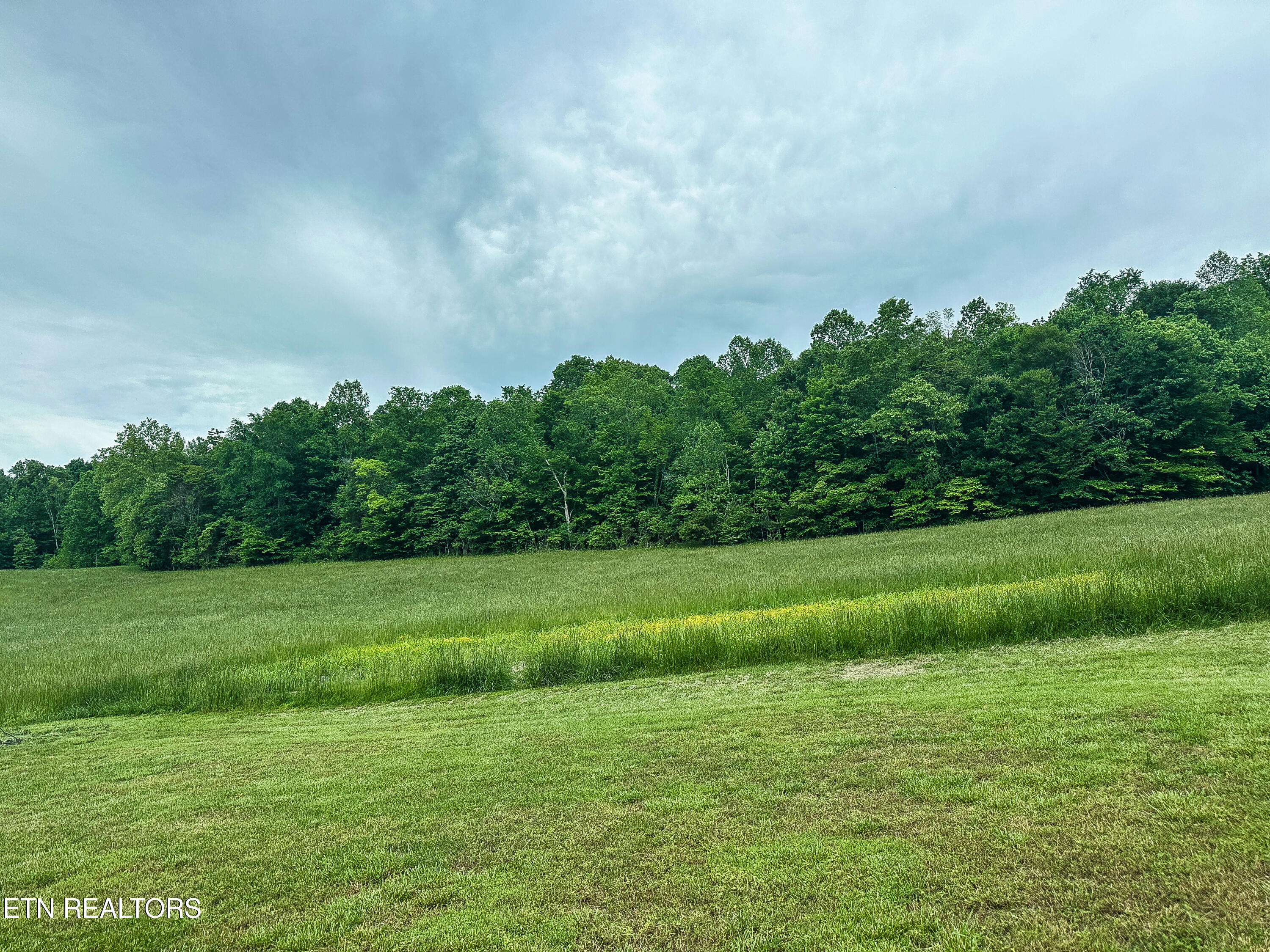601 Blue Springs Road Speedwell, TN 37870 - Photo 15 of 46 IMG_5586