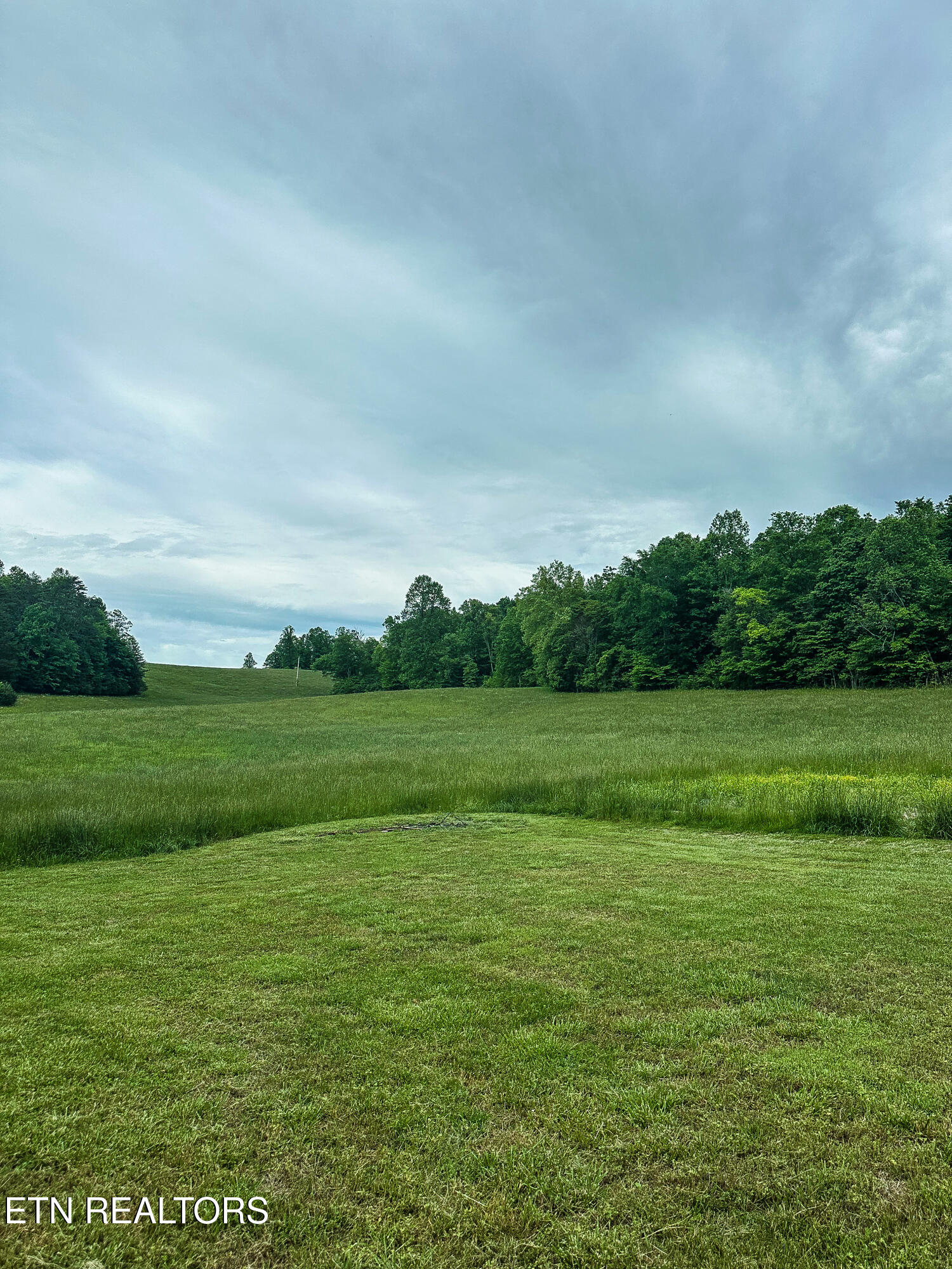 601 Blue Springs Road Speedwell, TN 37870 - Photo 16 of 46 IMG_5585