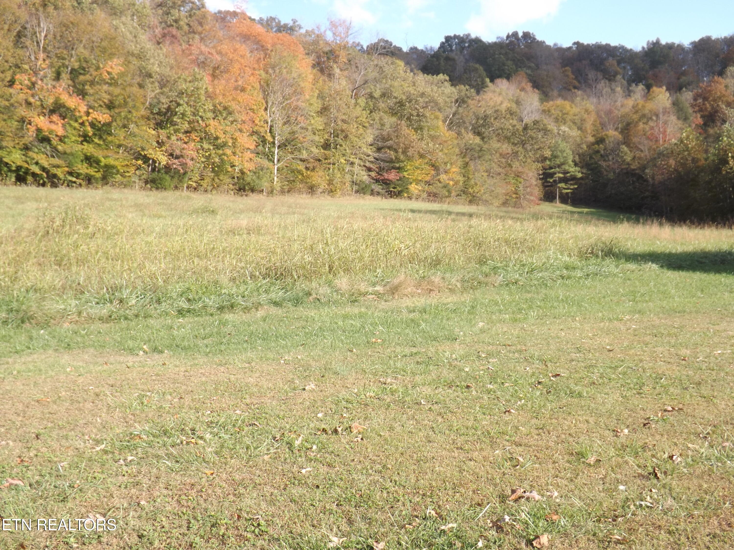 601 Blue Springs Road Speedwell, TN 37870 - Photo 23 of 46 DSCF3256