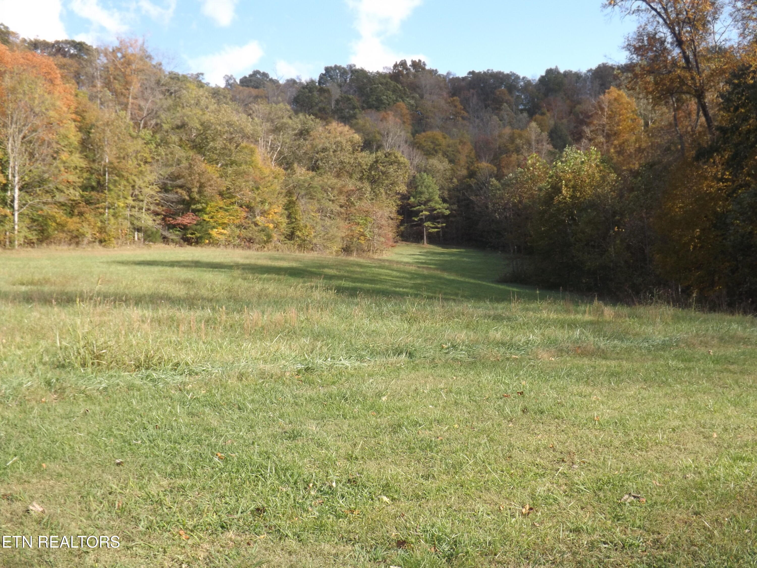 601 Blue Springs Road Speedwell, TN 37870 - Photo 24 of 46 DSCF3259