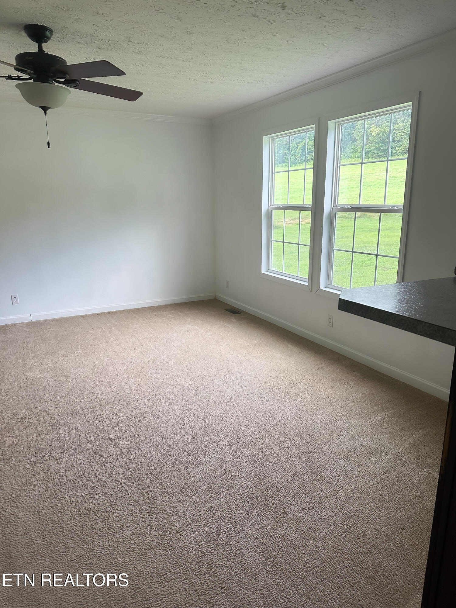 601 Blue Springs Road Speedwell, TN 37870 - Photo 32 of 45 IMG_6172