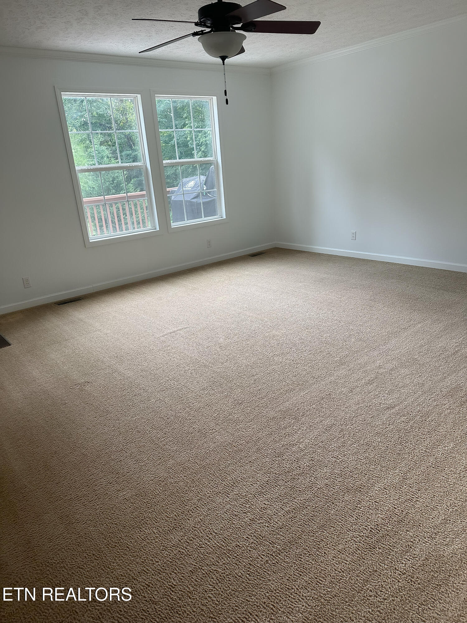 601 Blue Springs Road Speedwell, TN 37870 - Photo 35 of 46 IMG_6170