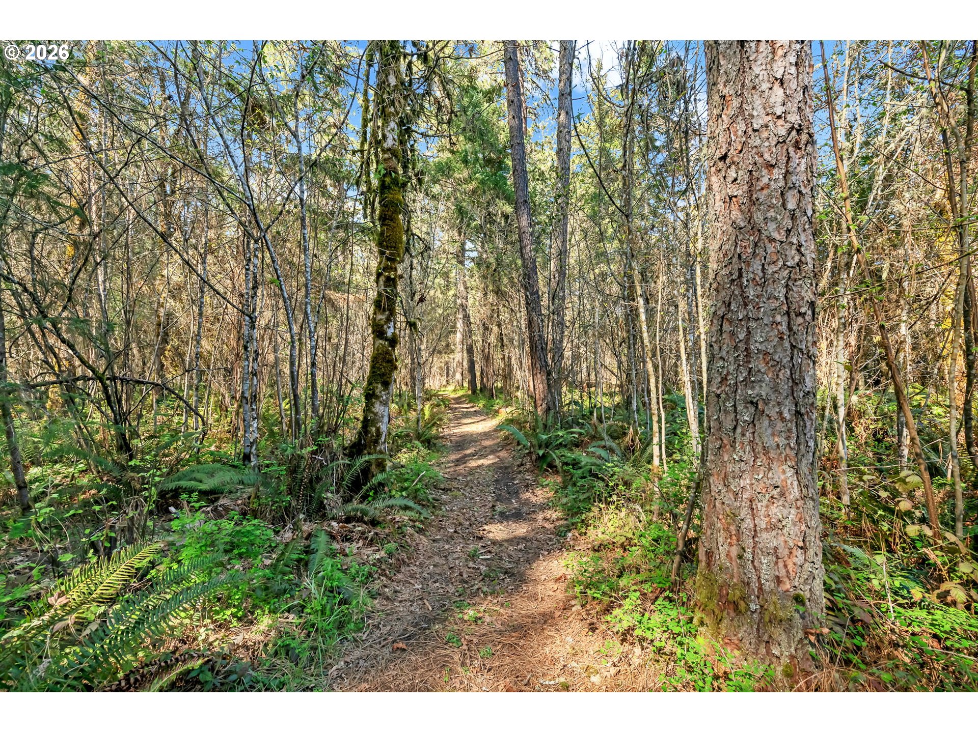 24309 Warthen Road Elmira, OR 97437 - Photo 34 of 45