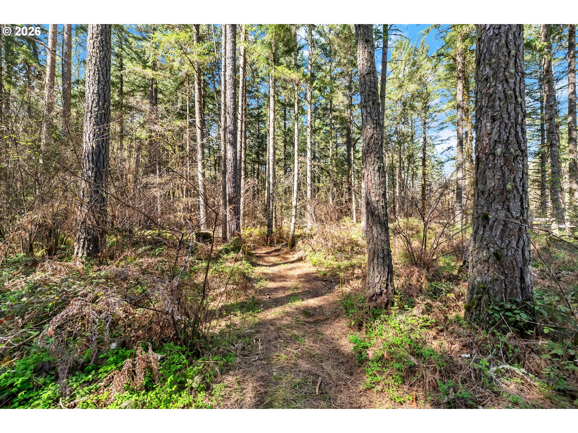 24309 Warthen Road Elmira, OR 97437 - Photo 37 of 45