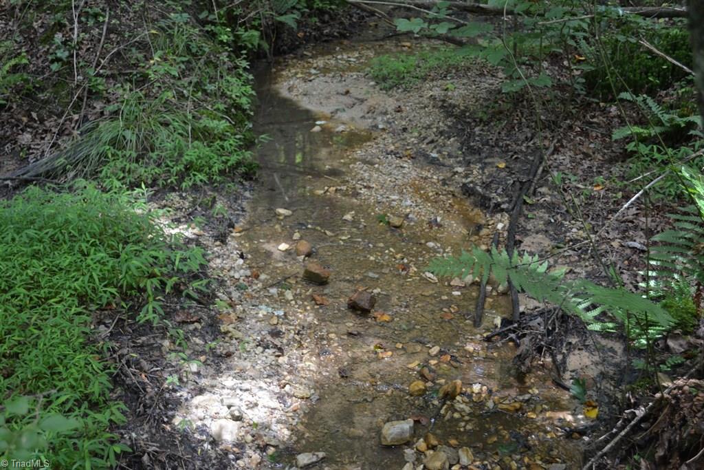 0 Johnson Road Mount Airy, NC 27030 - Photo 14 of 16 Gallery Image 14