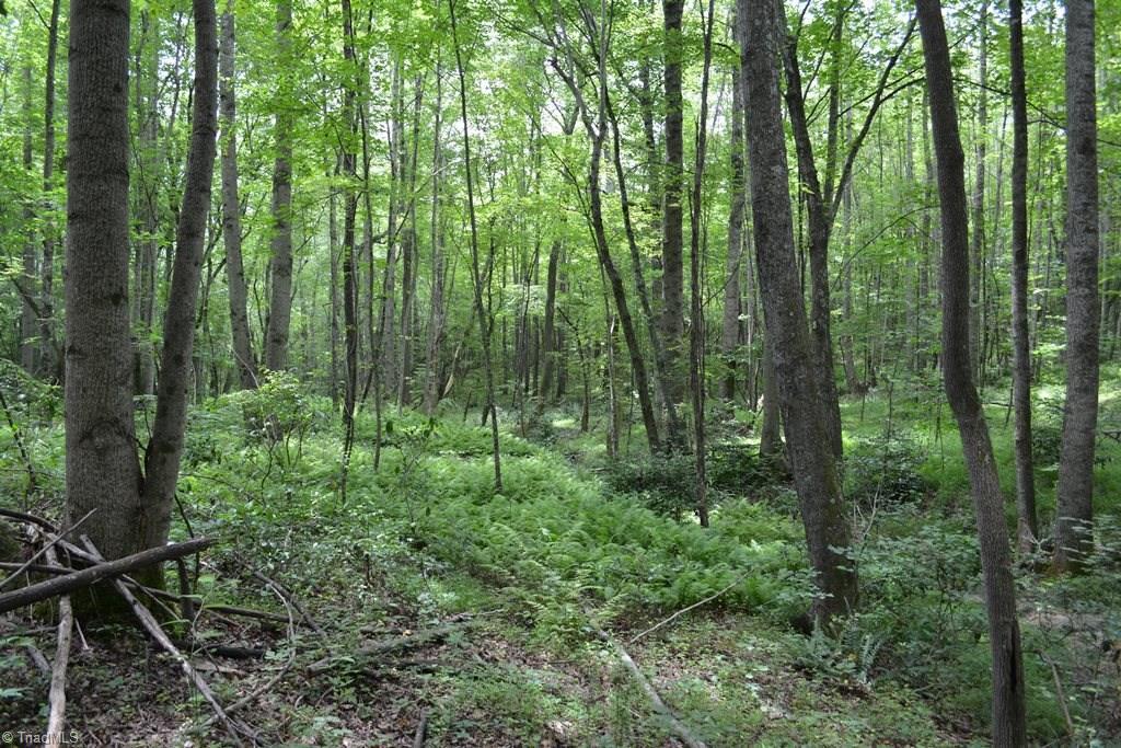 0 Johnson Road Mount Airy, NC 27030 - Photo 15 of 16 Gallery Image 15
